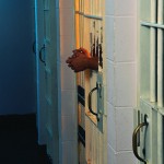 Prisoners Hands in Cell Bars